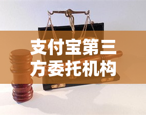 深圳融關(guān) 支付寶的第三方委托方與金融機(jī)構(gòu)委托機(jī)構(gòu)的雙重角色解析